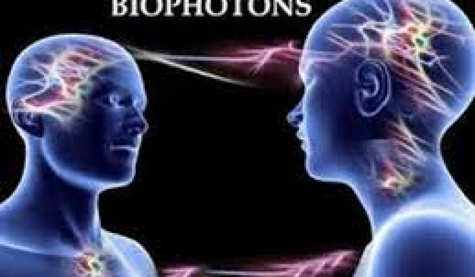biophotons